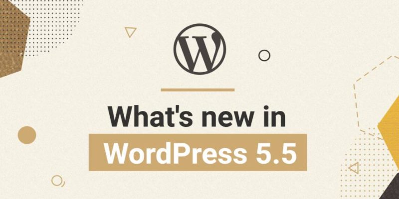 WordPress 5.5 new feature